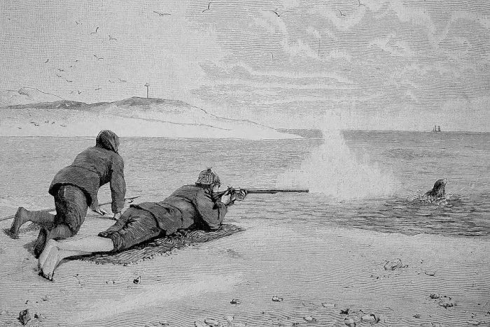 Framed Print : Hunting seals in the Wadden Sea, North Sea, Germany, Historic, digitally restored reproduction of an original from the 19th century Framed Print : Hunting seals in the Wadden Sea, North Sea, Germany, Historic, digitally restored reproduction of an original from the 19th century