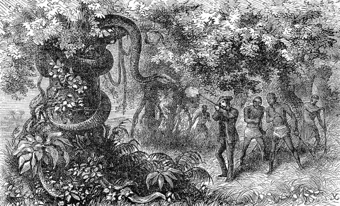 Framed Print : Hunting a strangler snake, white hunter with rifle shoots the animal, 1869, Botswana, Historic, digitally restored reproduction of an original 19th century painting, exact original date not known Framed Print : Hunting a strangler snake, white hunter with rifle shoots the animal, 1869, Botswana, Historic, digitally restored reproduction of an original 19th century painting, exact original date not known