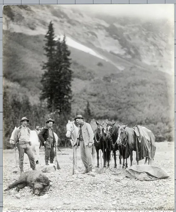 Framed Print : Hunting In The Yellowhead Pass Framed Print : Hunting In The Yellowhead Pass