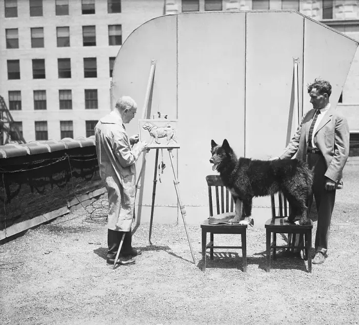 Framed Print : Husky Balto Poses For Sculptor Framed Print : Husky Balto Poses For Sculptor