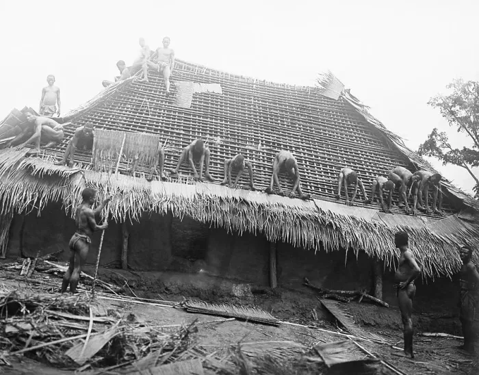 Framed Print : Ibos Working on Building a Hut Framed Print : Ibos Working on Building a Hut