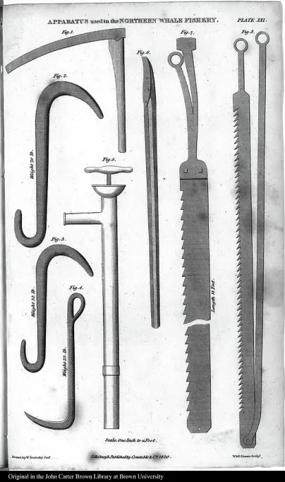 Framed Print : Ice axe, ice anchor, bay ice anchor, blubber pump, bone hand spike, ice saw, further saw, for thinner ice, 1790, Norway, Historic, digitally restored reproduction from a 19th century original, Tools used in whaling Framed Print : Ice axe, ice anchor, bay ice anchor, blubber pump, bone hand spike, ice saw, further saw, for thinner ice, 1790, Norway, Historic, digitally restored reproduction from a 19th century original, Tools used in whaling
