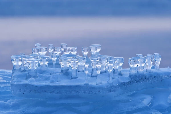 Ice formation on an ice floe
