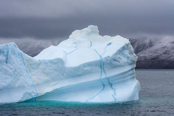 Iceberg shows veins of frozen meltwater, King Oscar Fjord, Greenland National Park, Denmark
