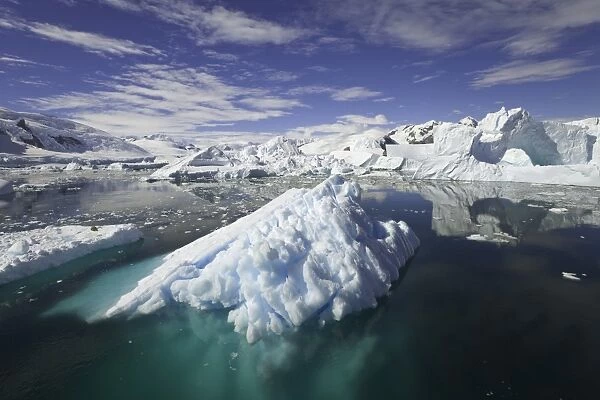 Icebergs, Collins Bay, Antarctic Peninsula