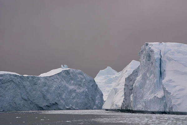 Icebergs against dark sky, Ilulissat, Greenland
