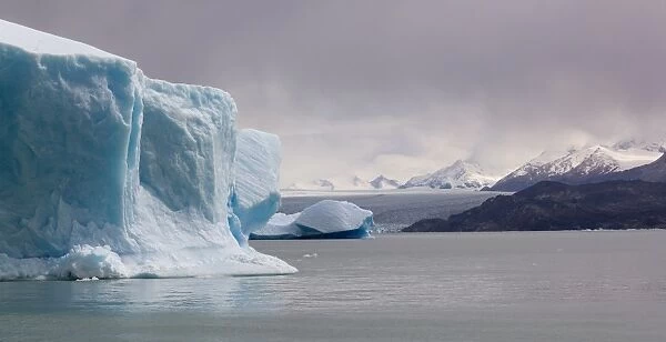 Icebergs on Lago Argentino