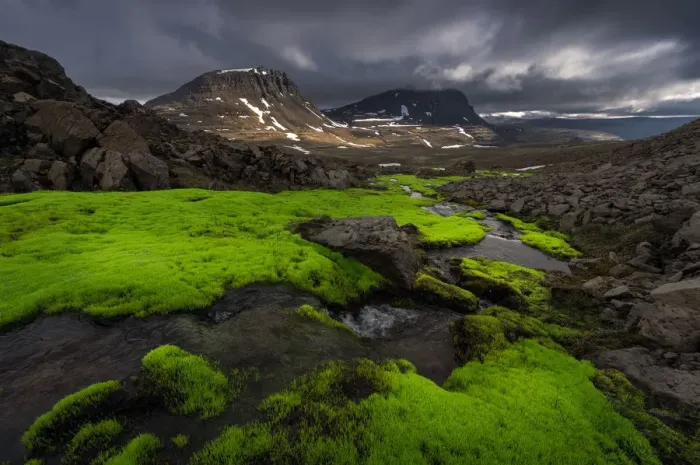 Framed Print : Iceland moss creek at West fjord Framed Print : Iceland moss creek at West fjord