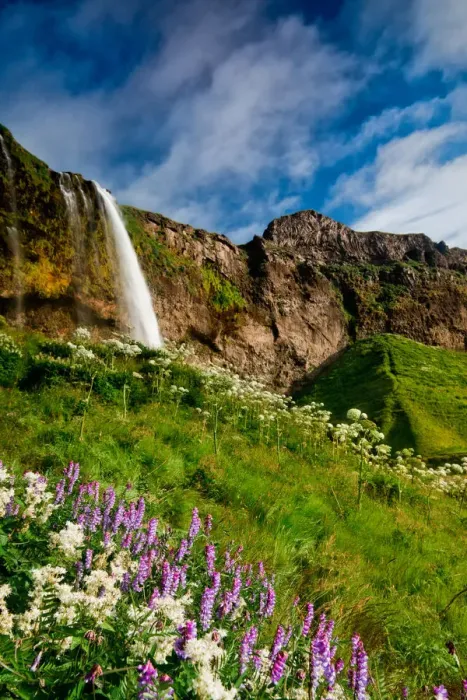 Framed Print : Iceland - Seljalandsfoss: Lush