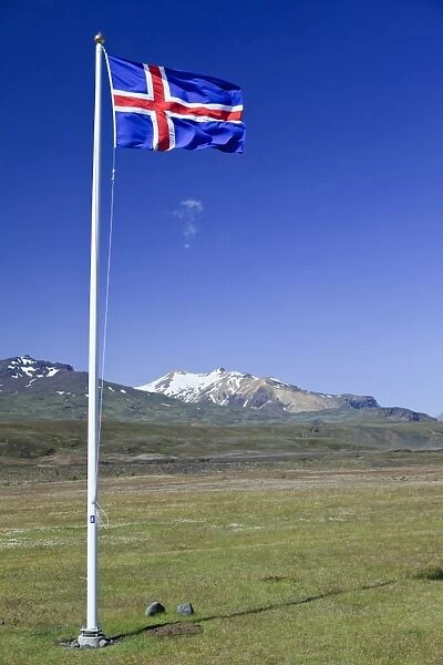 Icelandic national flag blowing in the wind on a meadow, Borsmoerk, Iceland, Europe