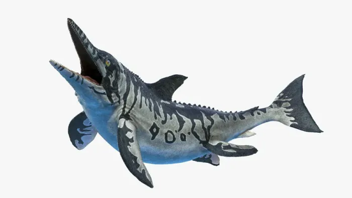 Framed Print : Ichthyosaurus, illustration Framed Print : Ichthyosaurus, illustration