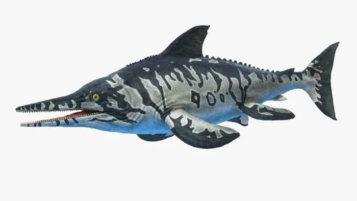 Framed Print : Ichthyosaurus, illustration Framed Print : Ichthyosaurus, illustration