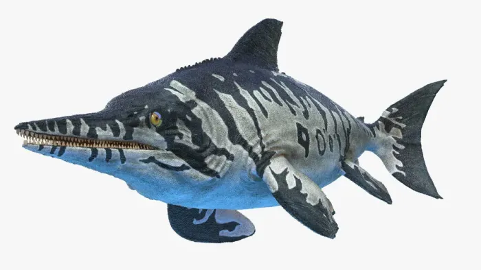 Framed Print : Ichthyosaurus, illustration Framed Print : Ichthyosaurus, illustration