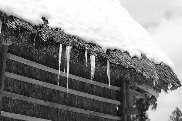 Icicles. An icicle dangled from a roof of the old Japanese house