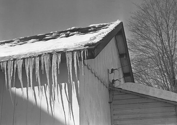 Icicles on barn roof, (B&W)