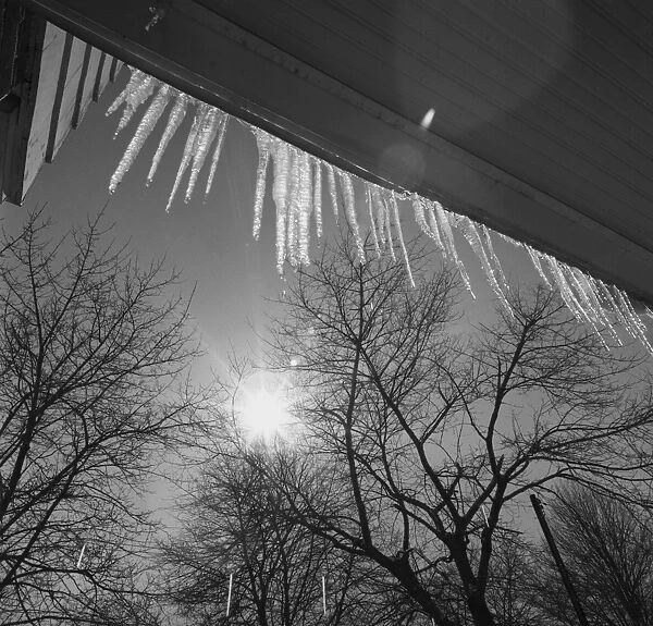 Icicles on roof an sun