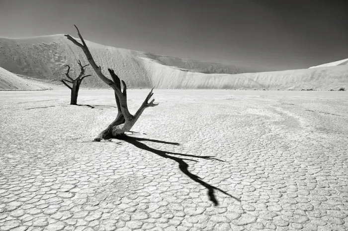 Framed Print : The iconic dead acacia trees of Deadvlei in Namibia photographed in Infrared, Namib-Naukluft National Park, Namibia