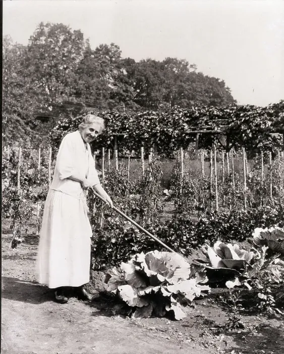 Framed Print : Ida M. Tarbell Working in Garden Framed Print : Ida M. Tarbell Working in Garden