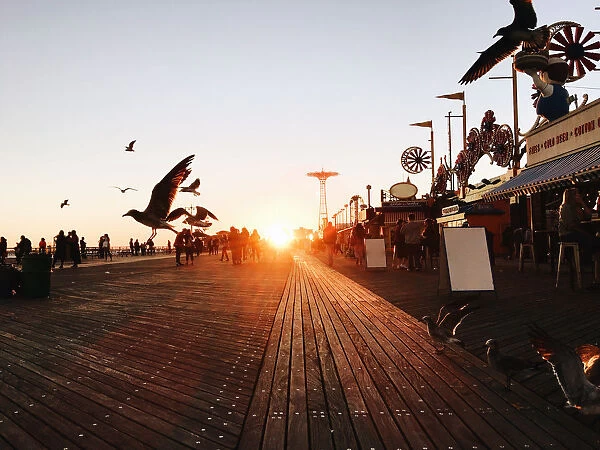 Idyllic sunset with flying birds at Coney Island, Brooklyn, New York City, USA
