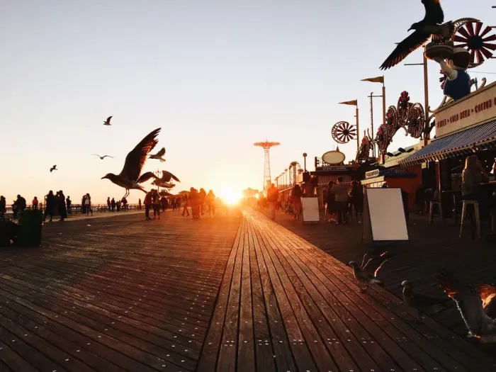 Framed Print : Idyllic sunset with flying birds at Coney Island, Brooklyn, New York City, USA Framed Print : Idyllic sunset with flying birds at Coney Island, Brooklyn, New York City, USA