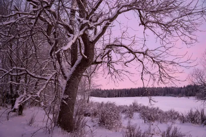Framed Print : Idyllic winter scene, early morning, extremely low temperature Framed Print : Idyllic winter scene, early morning, extremely low temperature