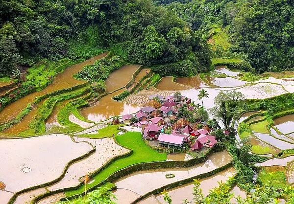 Ifugao Village, Bangaan Rice Terraces