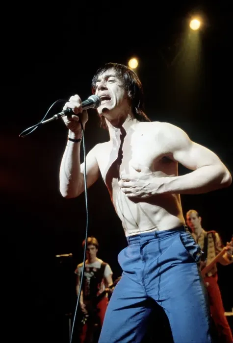 Framed Print : Iggy Pop Performing