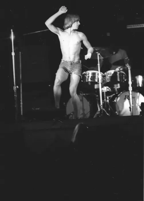 Framed Print : Iggy Pop Performing Framed Print : Iggy Pop Performing