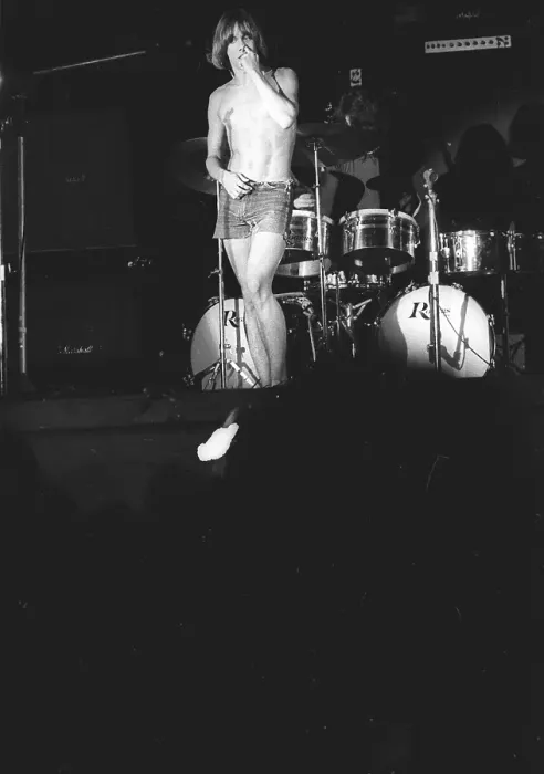 Framed Print : Iggy Pop Performing Framed Print : Iggy Pop Performing