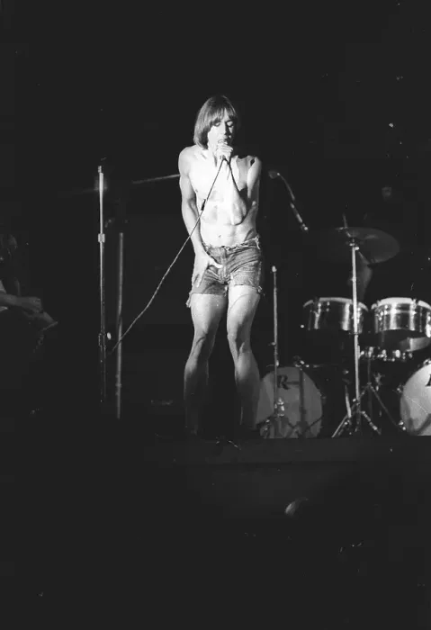 Framed Print : Iggy Pop Performing Framed Print : Iggy Pop Performing
