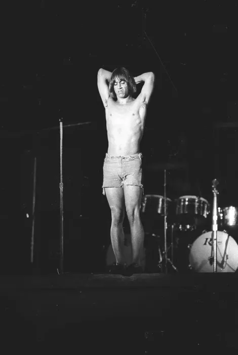Framed Print : Iggy Pop Performing Framed Print : Iggy Pop Performing