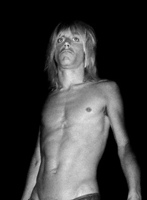 Framed Print : Iggy Pop Performing At The Whisky Framed Print : Iggy Pop Performing At The Whisky