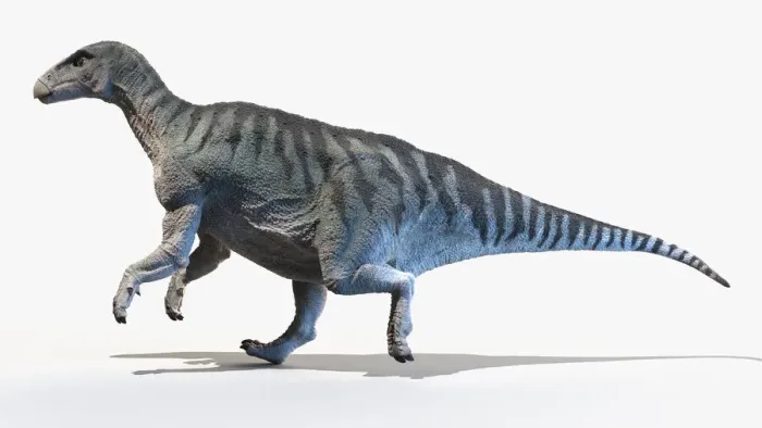 Framed Print : Iguanodon, illustration Framed Print : Iguanodon, illustration