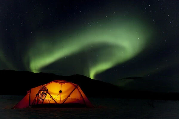Illuminated expedition tent and traditional wooden snow shoes, Northern Lights, Polar Lights, Aurora Borealis, green, near Whitehorse, Yukon Territory, Canada
