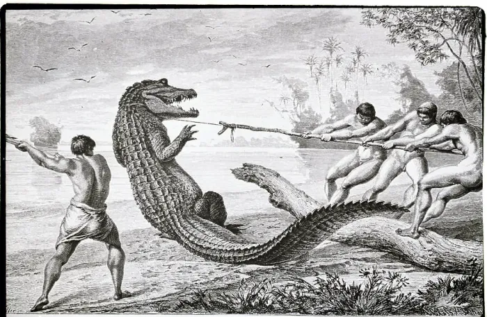 Framed Print : Illus. Of Men Catching Alligator W / Rope Framed Print : Illus. Of Men Catching Alligator W / Rope