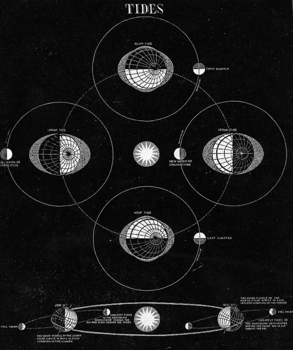 Framed Print : Illus / Tides Caused By Moon Framed Print : Illus / Tides Caused By Moon