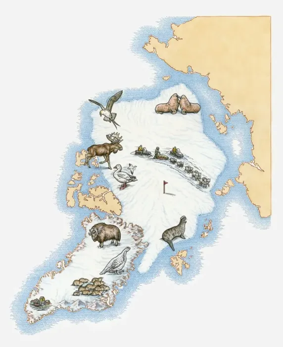 Framed Print : Illustrated map of Greenland Framed Print : Illustrated map of Greenland