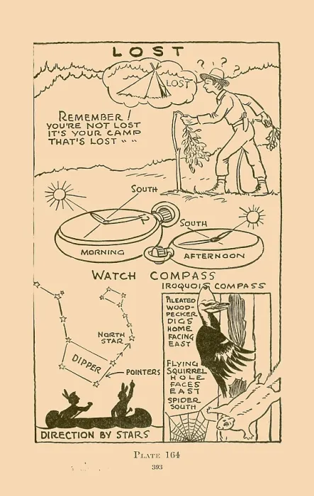 Framed Print : Lost. Illustrated plate from Wildwood Wisdom by Ellsworth Jaeger