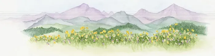 Framed Print : Illustration of abundance of wildflowers growing on lush North American prairie with mountains in background Framed Print : Illustration of abundance of wildflowers growing on lush North American prairie with mountains in background