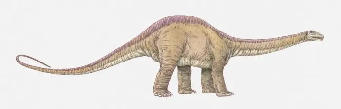 Framed Print : Illustration of Albertosaurus dinosaur Framed Print : Illustration of Albertosaurus dinosaur