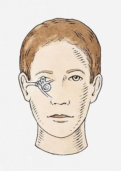 Illustration of anatomy of human ear