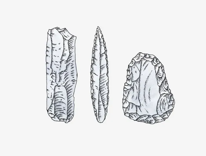Framed Print : Illustration of ancient handaxes Framed Print : Illustration of ancient handaxes
