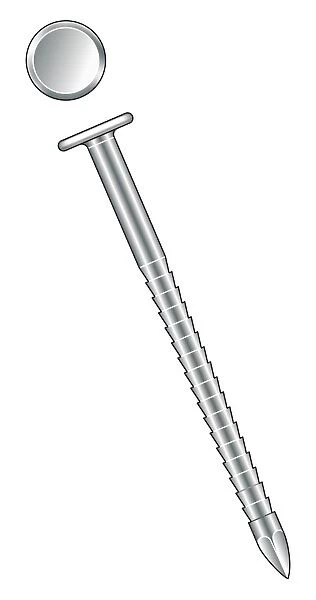 Illustration of annular nail with toothed shank and round head