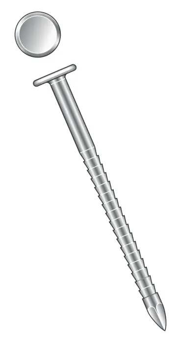 Framed Print : Illustration of annular nail with toothed shank and round head Framed Print : Illustration of annular nail with toothed shank and round head