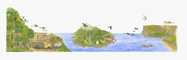 Illustration of areas inhabited by wild birds and put in danger by humans and other animals