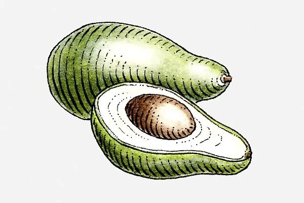 Illustration of avocados, whole and cut in half