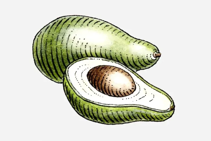 Framed Print : Illustration of avocados, whole and cut in half