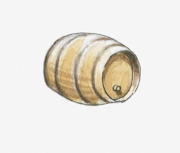Illustration of barrel of wine