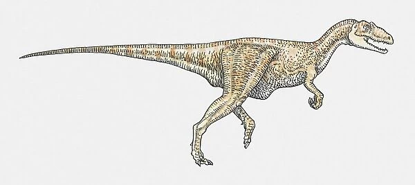 Illustration of Baryonyx dinosaur