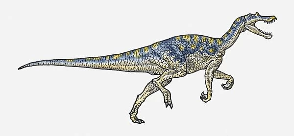 Illustration of Baryonyx saurischia dinosaur